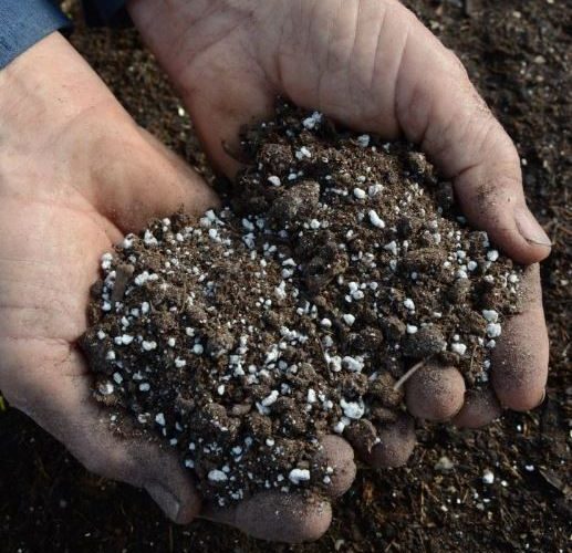 Perlite or Vermiculite - what's the difference