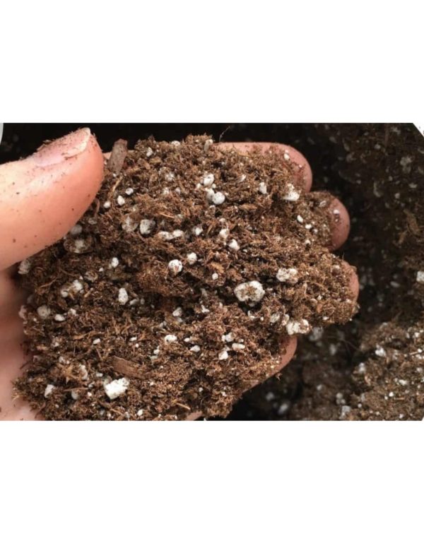 Perlite or Vermiculite - what's the difference