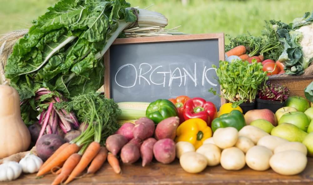 The Importance of Growing Organic Produce
