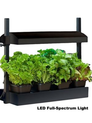 SunBlaster Micro Growlight Garden – LED Lighting – Black