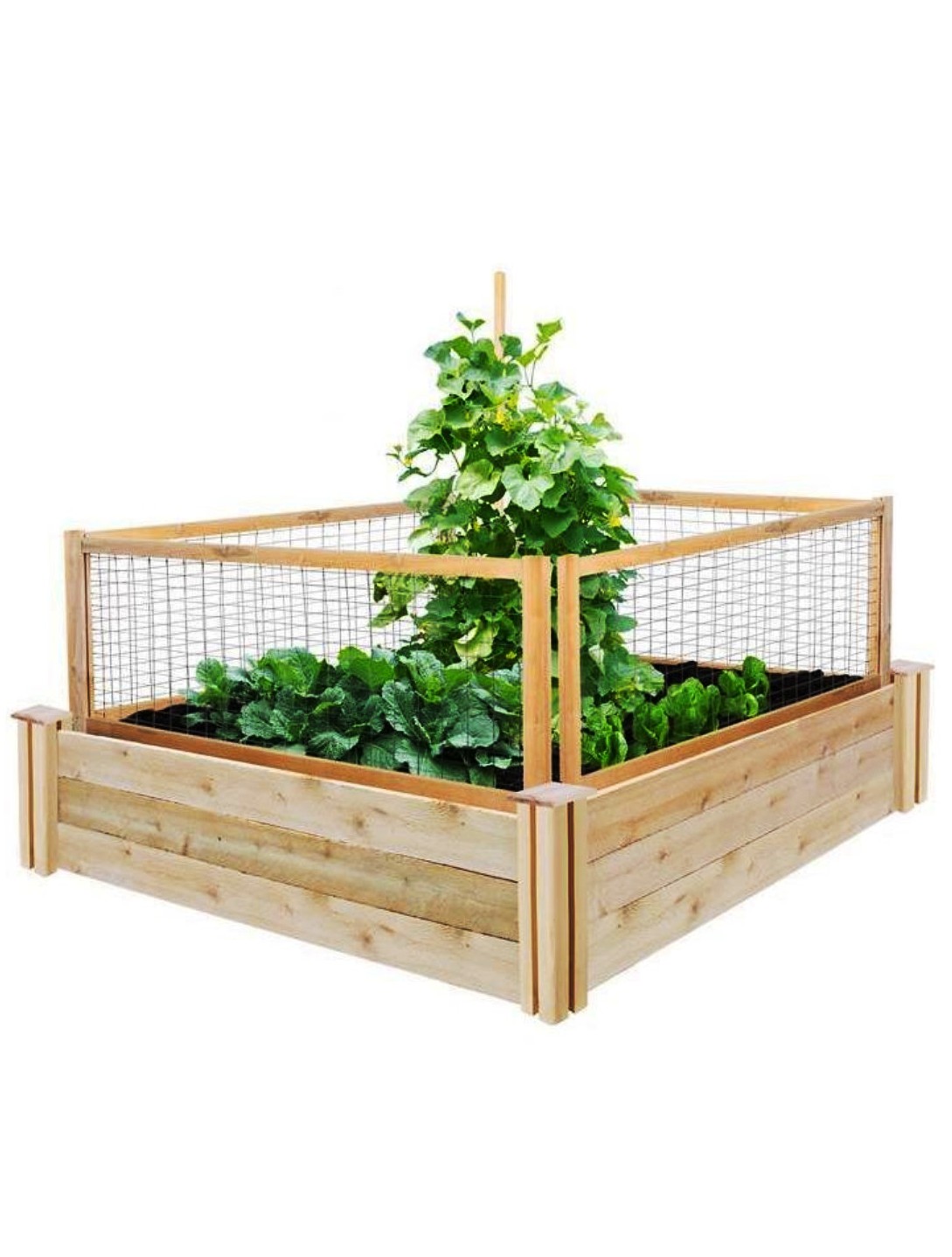 4X4 Raised Garden-Bed with CritterGuard -Cedar - Sunrise Urban Farming