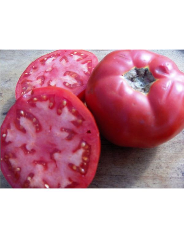 Organic Boxcar-Willie Tomato Seeds