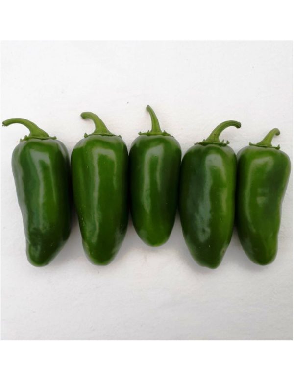 Organic Early-Jalapeno Hot-Pepper Seeds