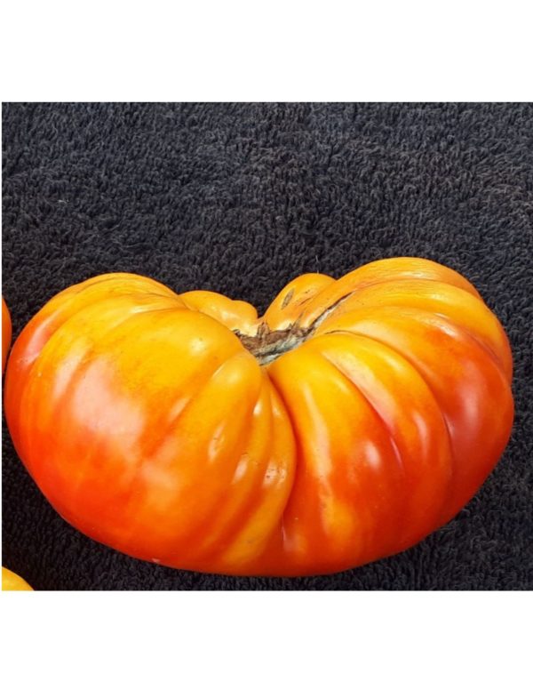 Organic German-Stripe Tomato Seeds