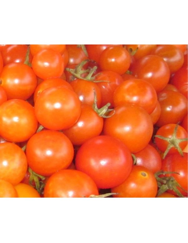 Organic Golden-Cherry Tomato Seeds