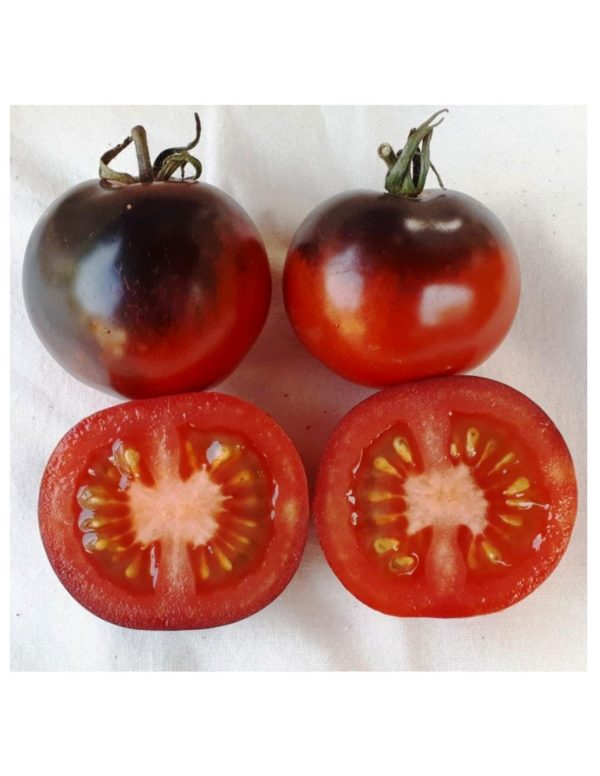 Organic Indigo-Rose Tomato Seeds