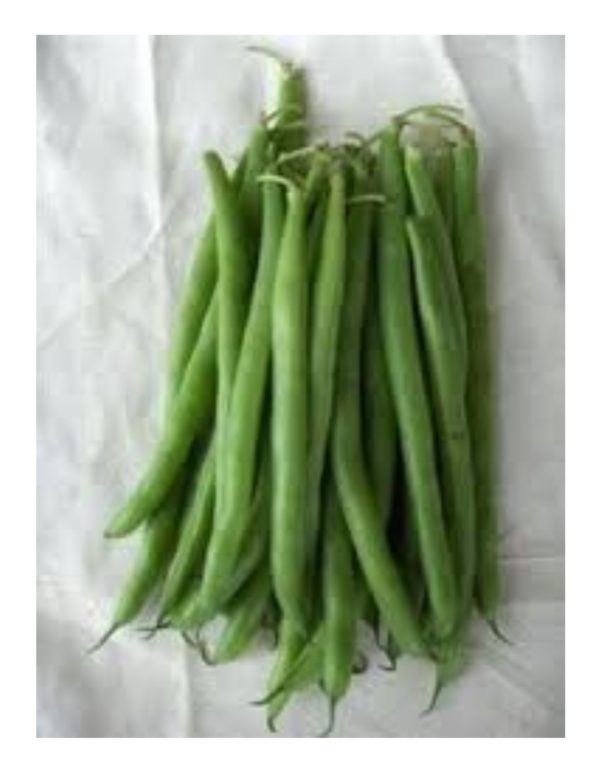 Organic Jade Bush-Bean Seeds