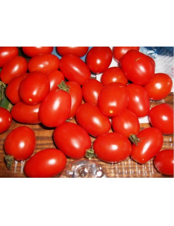 Organic Principe-Borghese Tomato Seeds