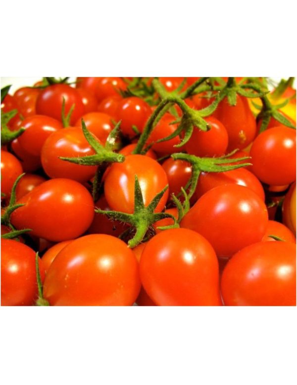 Organic Red-Pear Tomato Seeds