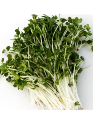Organic Broccoli Microgreen Seeds