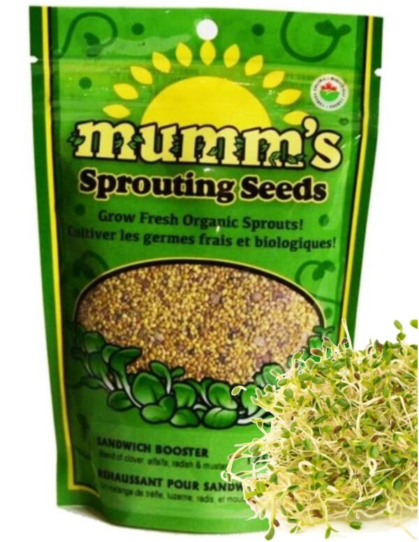 Mumm's Sandwich Booster Sprouting_Seeds