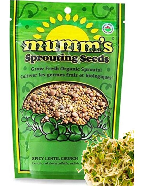 Mumm's Spicy Lentil Crunch Sprouting Seeds