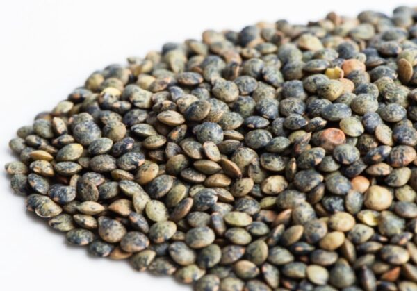 French-Green Lentils Sprouting Seeds