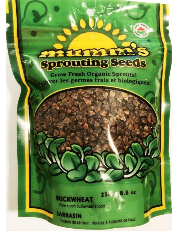 Organic Buckwheat Sprouting Seeds