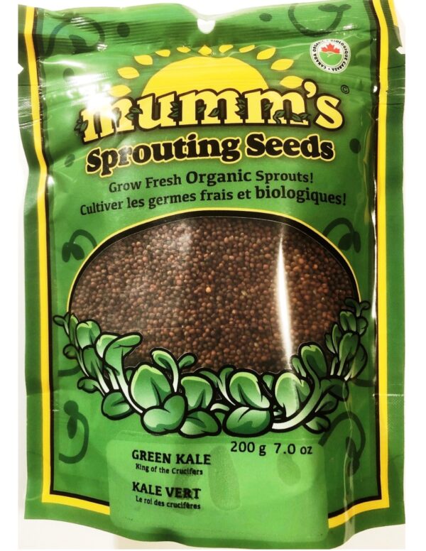 Organic Green-Kale Sprouting Seeds