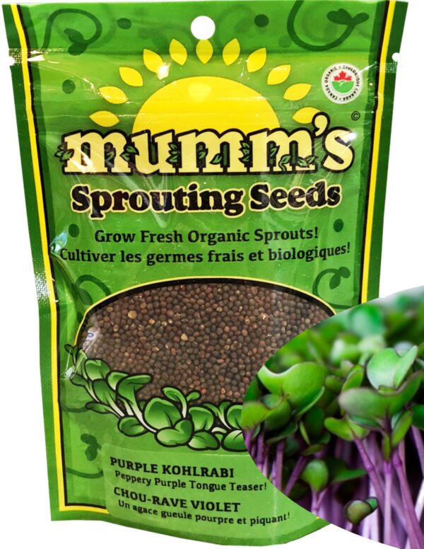 Organic Purple-Kohlrabi Microgreen Seeds