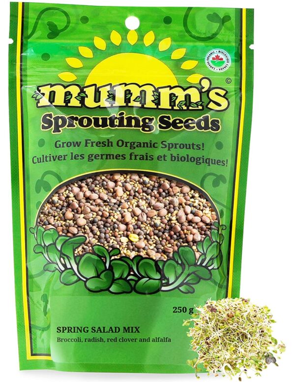 Organic Spring-Salad-Mix Sprouting Seeds